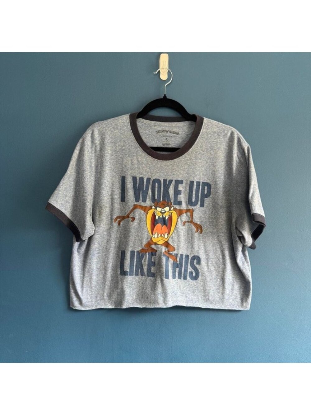 Looney Tunes Tasmanian Devil T Shirt Women's Size Large Crop Blue Ringer Funny